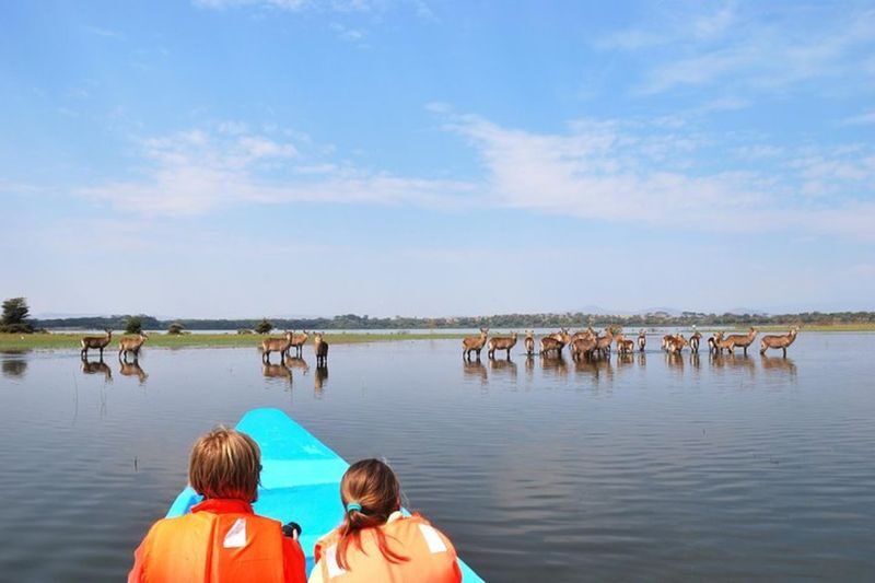 Hells Gate Cycling & Naivasha Boat Ride Private Day Tour - A land-and-water day in Naivasha