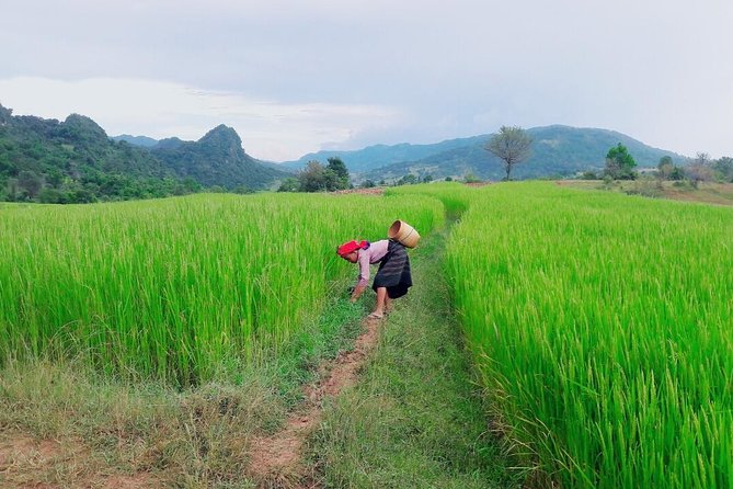 Hello, Who Like to Make Fantastic Trek With the Most Experienced Guide in Kalaw. - Customer Reviews