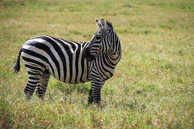 Hells Gate Excursion in Naivasha - Excursion Location and Price