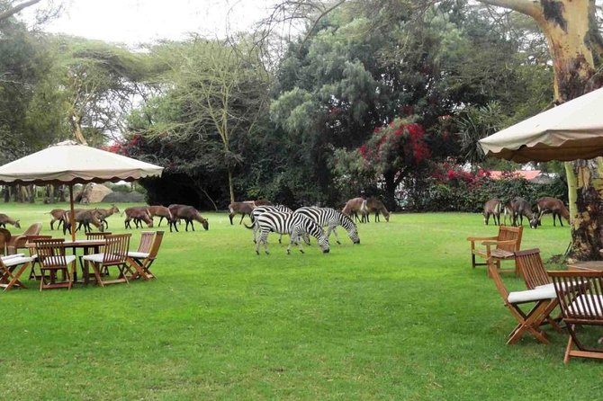 Hells Gate Excursion in Naivasha - Cancellation Policy Information