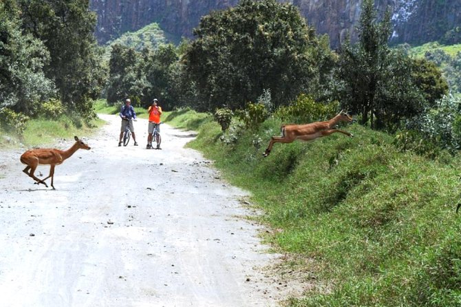 Hells Gate Excursion in Naivasha - Reviews and Ratings