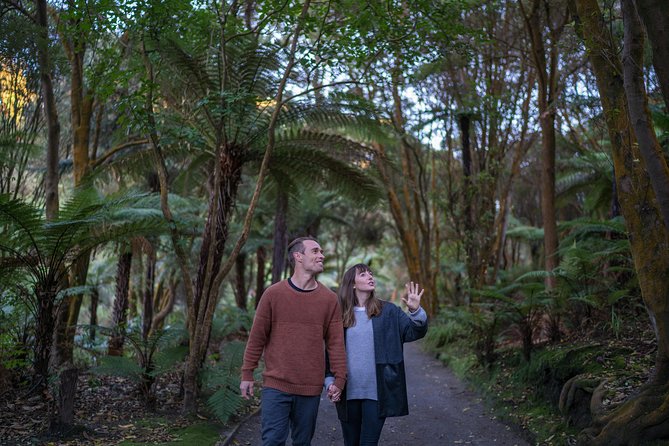 Hells Gate Geothermal Walk - Inclusions and Services