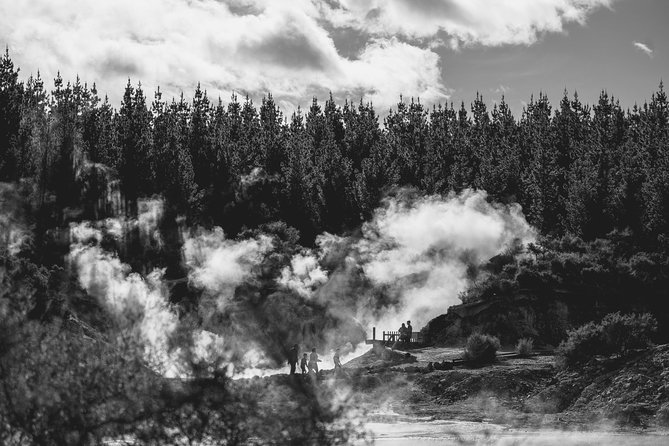 Hells Gate Geothermal Walk - Reviews and Customer Experiences