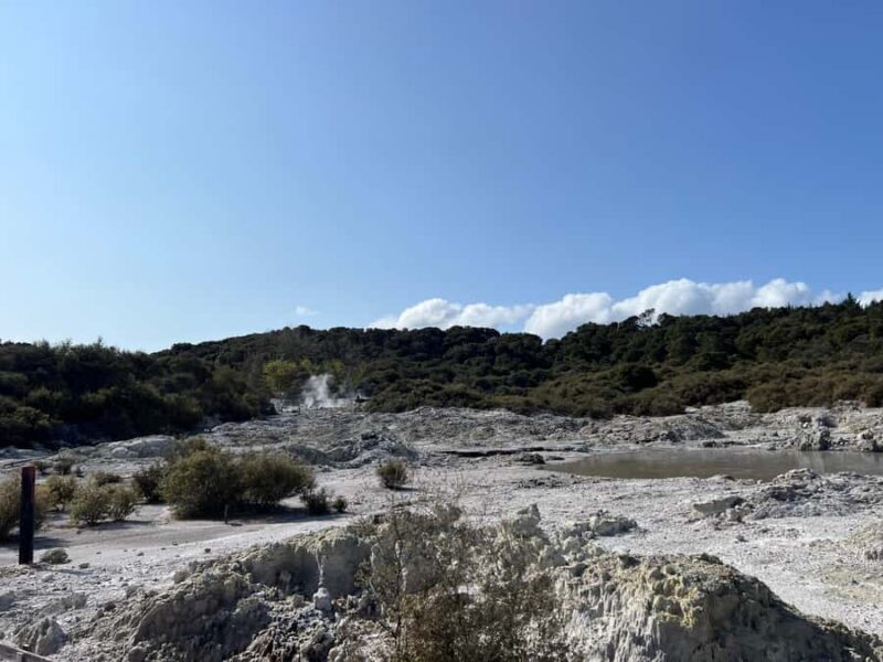 HELL'S GATE Mud Spa, Rotorua - Group Day Tour Ex Auckland - Authentic Experiences & Real Insights