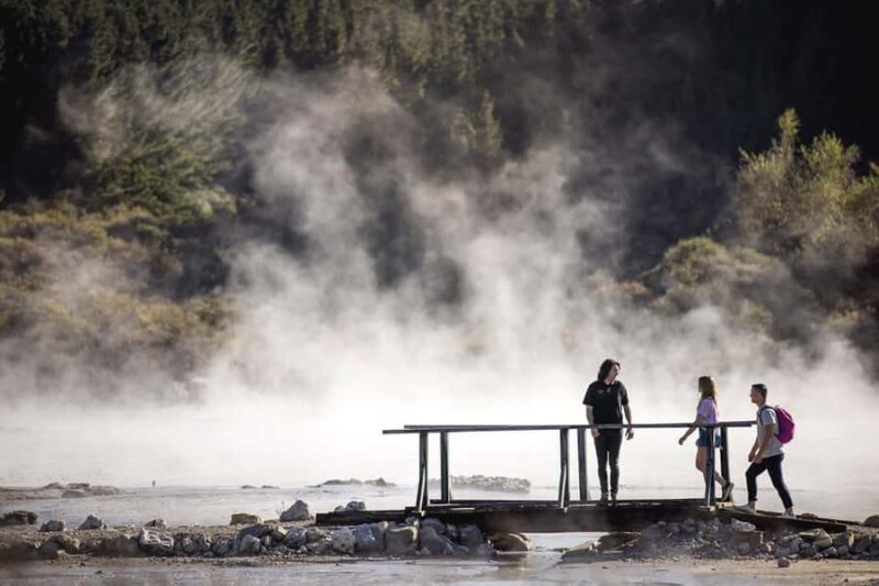 HELL'S GATE Mud Spa, Rotorua - Group Day Tour Ex Auckland - FAQs
