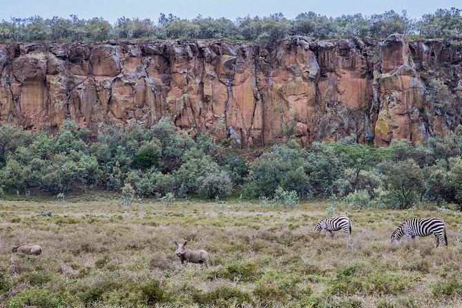 Hells Gate National Park: Full-Day Adventure - Reviews