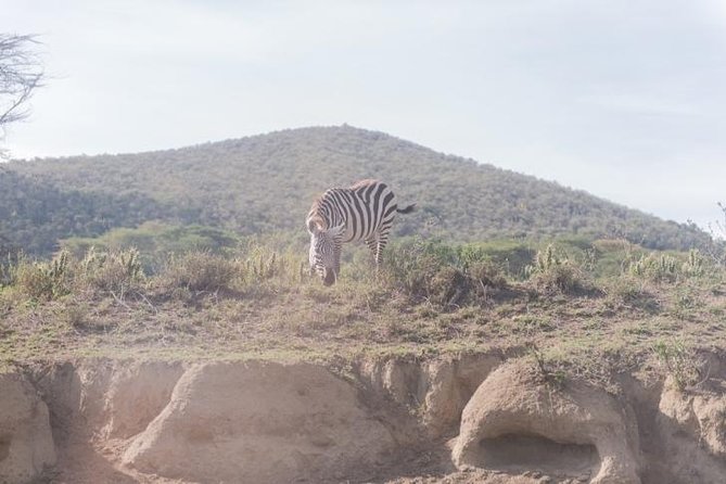 Hells Gate National Park With Optional Bike Ride Tour Naivasha - Directions to Hells Gate National Park