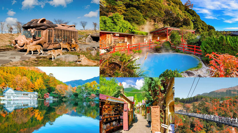 Hells of Beppu & Yufuin Day Trip - At a glance