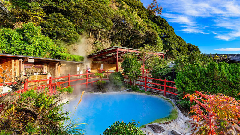 Hells of Beppu & Yufuin Day Trip - What the driver adds to the day