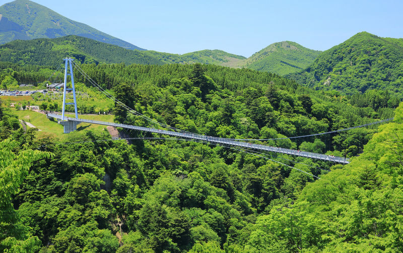 Hells of Beppu & Yufuin Day Trip - Making 10 hours work