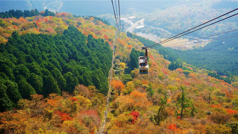 Hells of Beppu & Yufuin Day Trip - The price, and the extras to budget for
