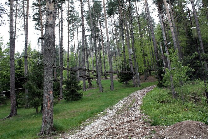 Help the Hosts: Breadmaking, Yoghurt Making and Cattle Keeping - Cultural Immersion and Traditional Skills
