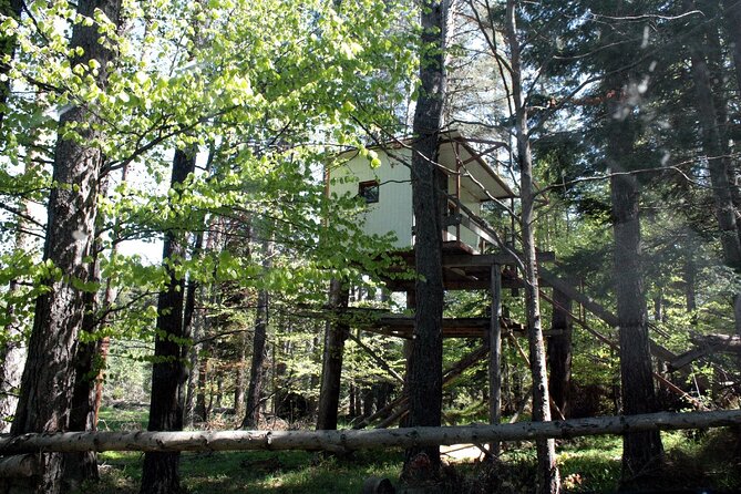 Help the Hosts: Breadmaking, Yoghurt Making and Cattle Keeping - Frequently Asked Questions