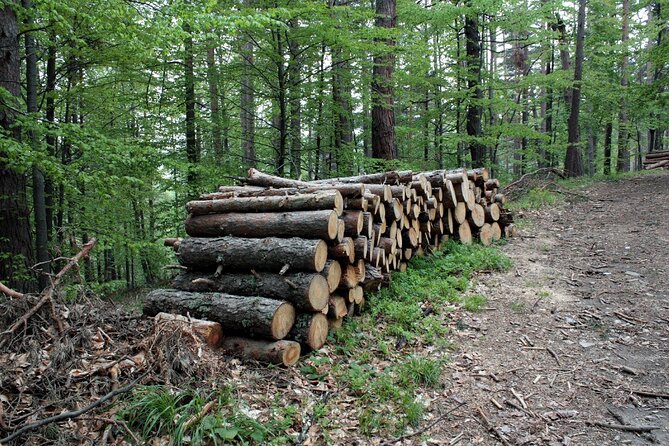 Help the Hosts: Breadmaking, Yoghurt Making and Cattle Keeping - The Sum Up