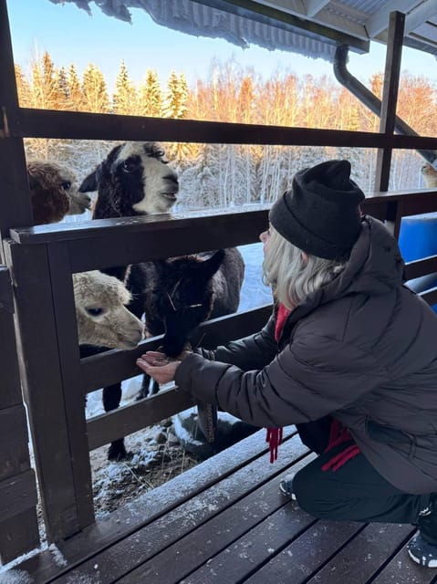 Helsinki: Alpaca Farm Tour with Guided Walk (private) - Who Should Consider This Tour?