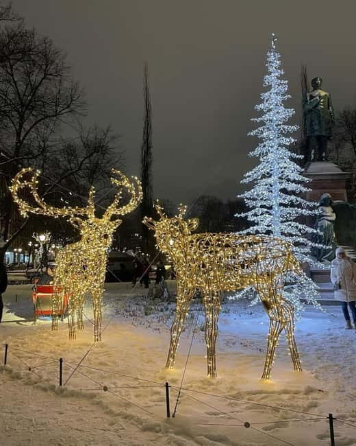 Helsinki: Christmas Walking Tour with Market Visit - Who Is This Tour Best For?