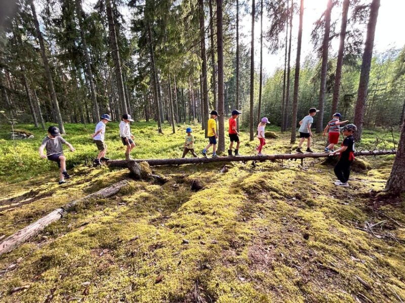 Helsinki: Guided Nature Experience with Campfire and Meal - Why We Think This Tour Is Worth It