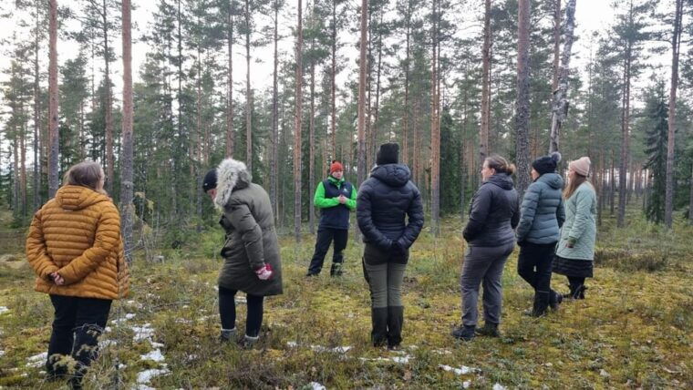 Helsinki: Guided Nature Experience with Campfire and Meal - The Sum Up