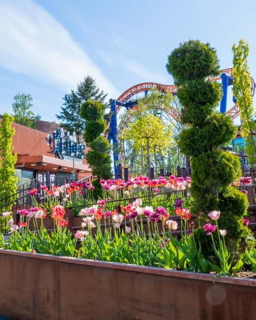 Helsinki: Linnanmäki Amusement Park - Good To Know