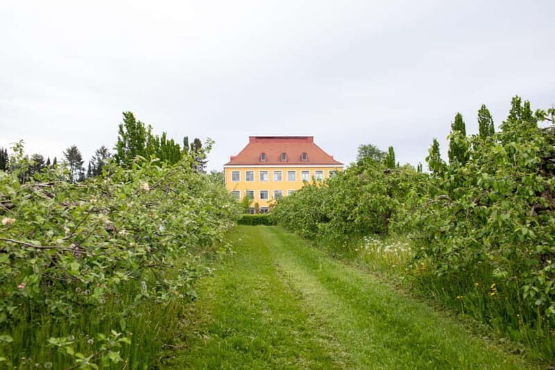 Helsinki: Private Visit to Finnish Berry Winery with Tasting - Discovering Finland’s Hidden Wine Gem