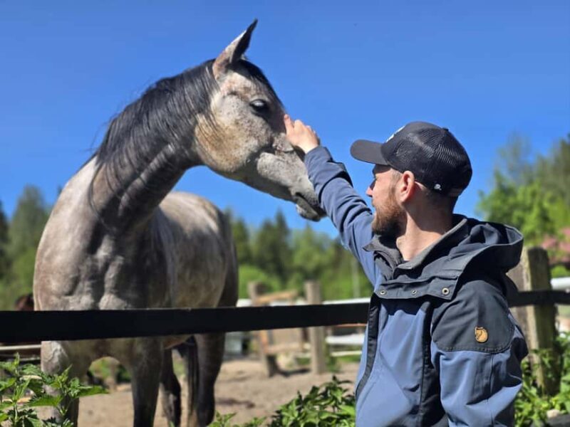 Helsinki: Reindeer Park and Horse Stable Private Tour - Discovering Finnish Wildlife and Culture