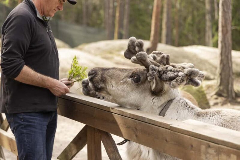 Helsinki: Reindeer Park and Horse Stable Private Tour - Analyzing the Value
