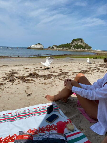 Hendaye Boat Excursion, Basque Country - Cancellation Policy and Refunds