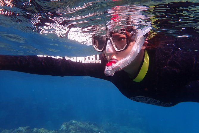 Hengchun Taiwan Diving or Snorkeling Experience  - Kaohsiung - Experience Details