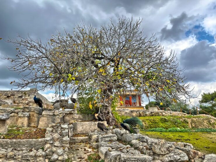 Heraklion: Archeological Museum of Heraklion Entrance & Tour - Activity Details and Location Information