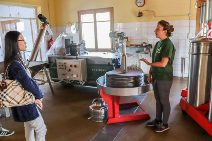 Heraklion Area: Secrets of Olive Oil and Wine Tasting Tour - Tour Highlights