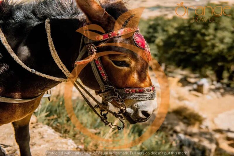 Heraklion areas :Half-Day Lasithi Plateau-Mythology Park - Scenic Views and Local Flavors