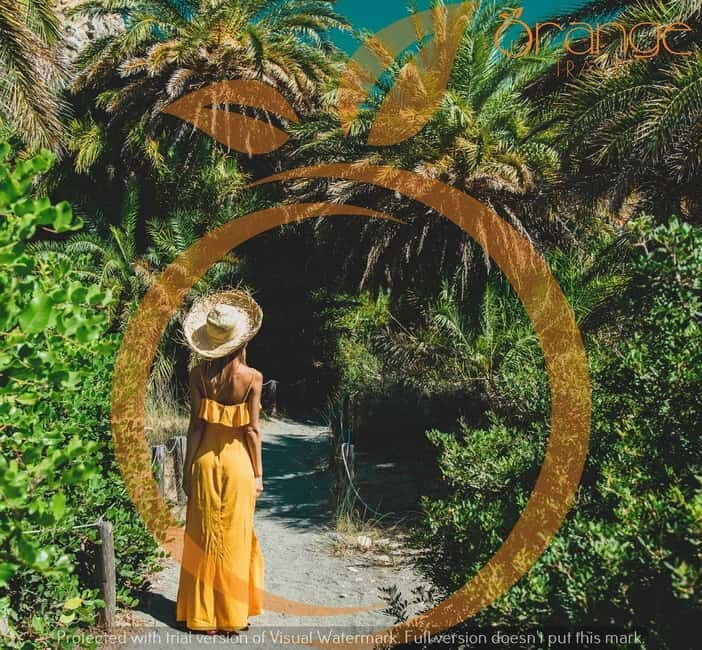 Heraklion Areas : Preveli Beach & Palm Forest Full-Day Tour - The Itinerary in Detail