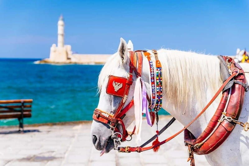 Heraklion Areas:Rethymno,Chania & Lake Kournas Full-Day Tour - Good To Know
