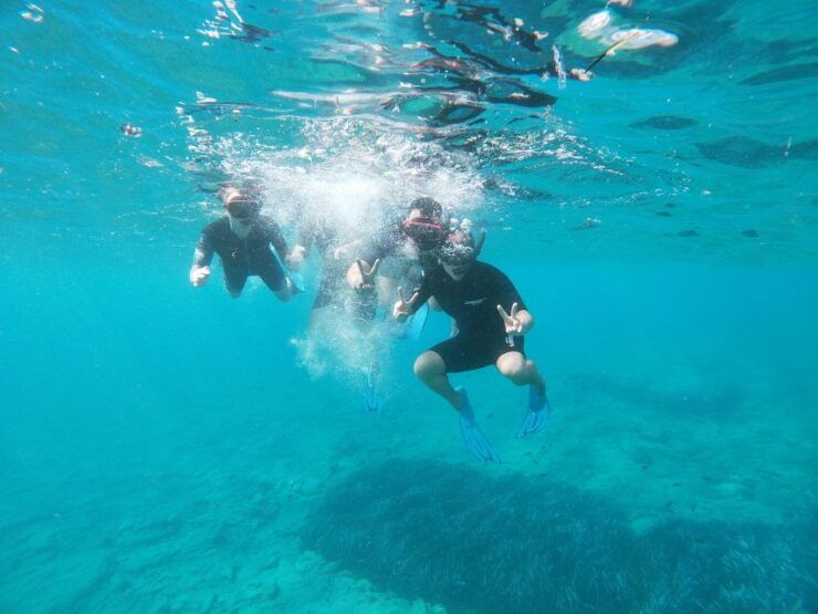 Heraklion: Beginner-Friendly Snorkeling Trip - Booking Information