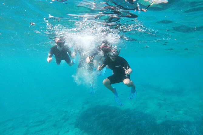 Heraklion: Beginner-Friendly Snorkeling Trip - Transportation and Medical Conditions