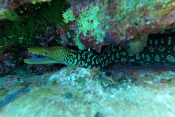 Heraklion: Beginner-Friendly Snorkeling Trip - Cancellation Policy and Refund Options