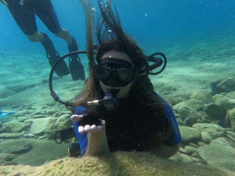 Heraklion: Beginner's intro dive w/2 Dives with transfer. - Frequently Asked Questions