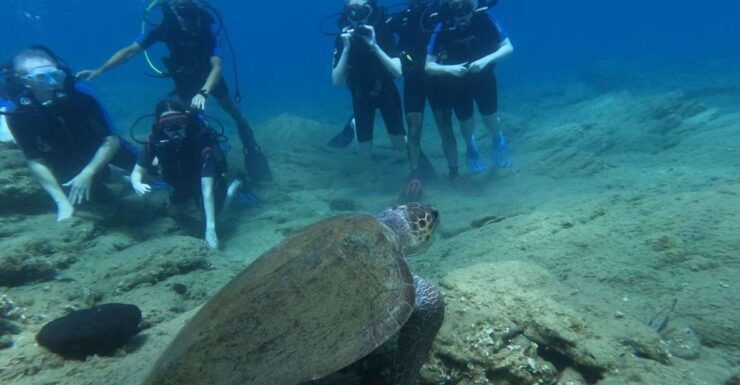 Heraklion: Beginner's Intro Dive W/2 Dives With Transfer. - Activity Details and Booking Information