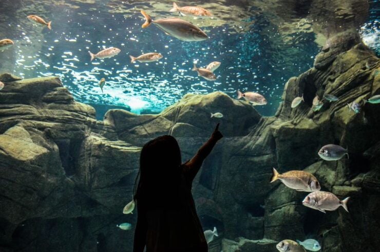 Heraklion City - Market & Cretaquarium Tour From Heraklion - Tour Experience