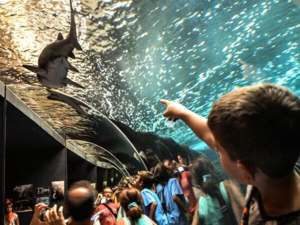 Heraklion City - Market & Cretaquarium Tour From Heraklion - Frequently Asked Questions