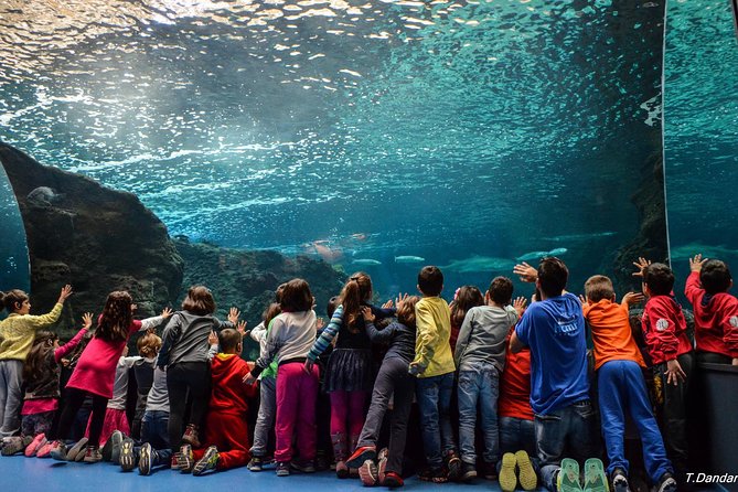 Heraklion City Tour-Market-Creta Aquarium - Professional Guide