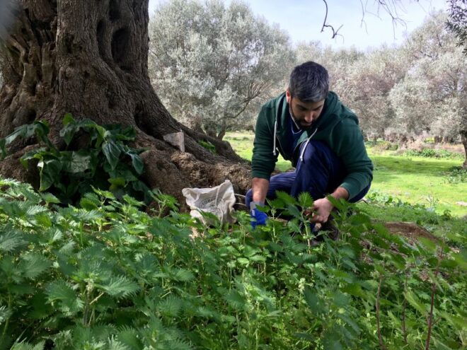 Heraklion: Cooking Workshop and Dinner at a Village House - Frequently Asked Questions