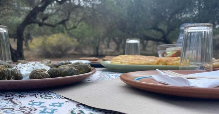 Heraklion: Cretan Farmers Brunch and Olive Grove Tour - Good To Know