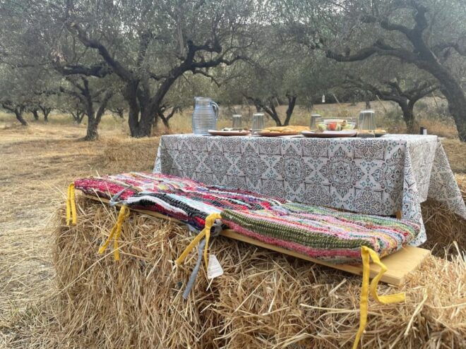 Heraklion: Cretan Farmers Brunch and Olive Grove Tour - Experience Highlights