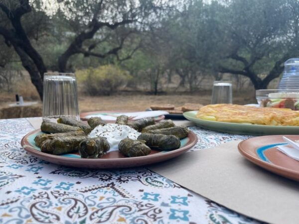 Heraklion: Cretan Farmers Brunch and Olive Grove Tour - What to Expect
