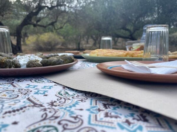 Heraklion: Cretan Farmers Brunch and Olive Grove Tour - Additional Tips