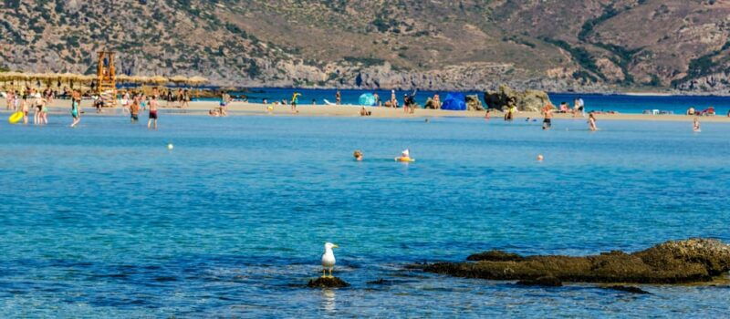 Heraklion: Elafonisi Beach: Discover the Pink Sand Paradise - The Journey to Elafonisi: Scenic and Well-Organized