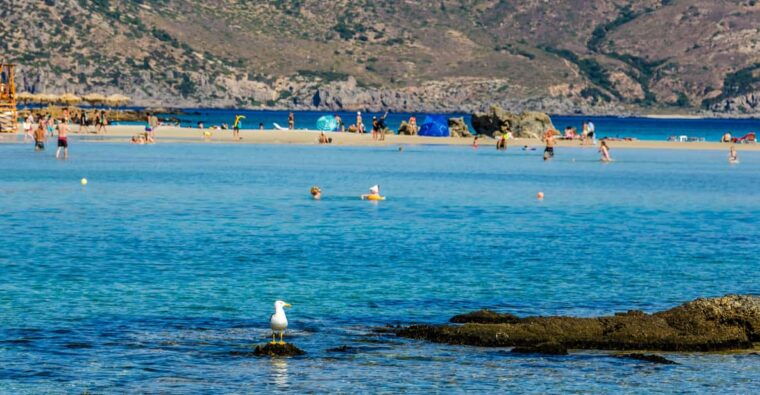 Heraklion: Elafonisi Beach: Discover the Pink Sand Paradise - The Sum Up