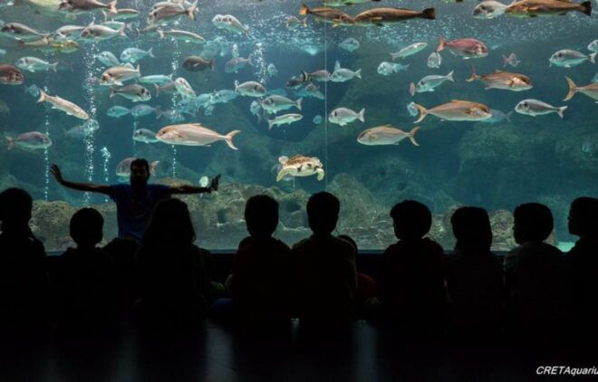 Heraklion: Family Fun Day With Dinosauria and Cretaquarium - Dining Options
