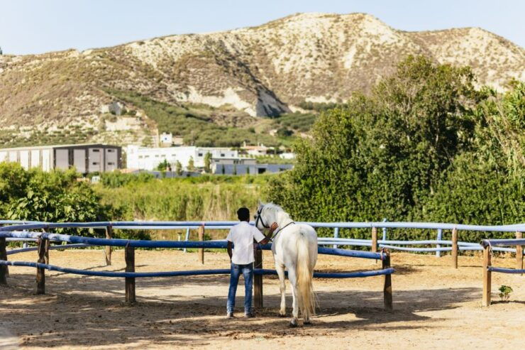 Heraklion: Finikia Horse Riding Day Tour With Lunch - Activity Details